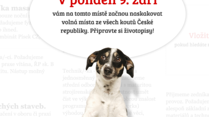 Seznam.cz spouští novou službu na hledání práce - Volná místa.cz