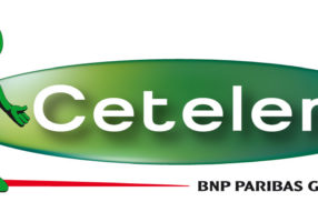Cetelem v roce 2013 půjčil 11,2 miliardy korun, meziročně o 8 procent více