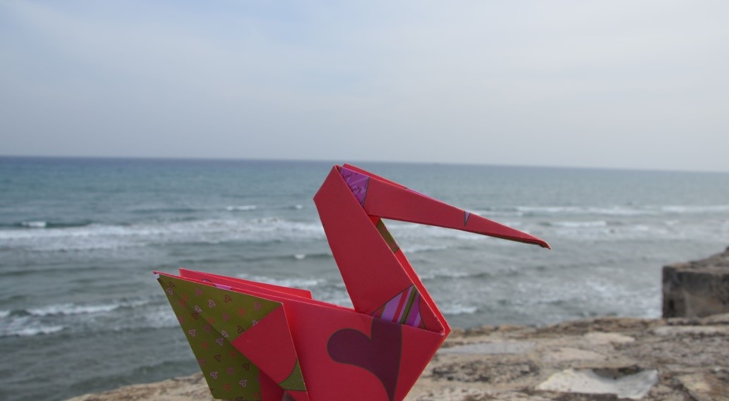 PELICAN a prázdniny!