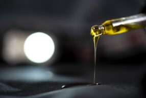 Proč je přínosný CBD olej?