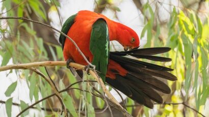 Bez důvěry to nejde: proč zaměstnanci ztrácí loajalitu a co s tím?
